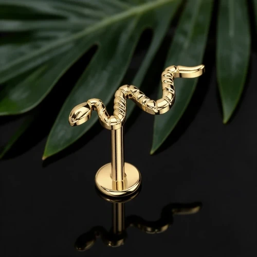 Przejdź do produktu Labret z tytanu ASTM F-136 Złoty Wąż 