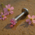 Labret z tytanu ASTM F-136 z różową cyrkonią